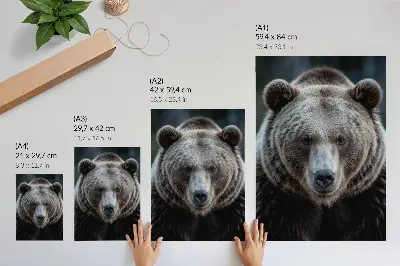 Retro plakát realisztikus portré egy medvéről, nyugodt és erős ábrázolással