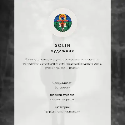 Retro plakát fekete-fehér ló az erdőben