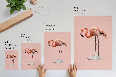 Poszter nyomtatás Flamingo rózsaszín sportcipő rózsaszín háttér