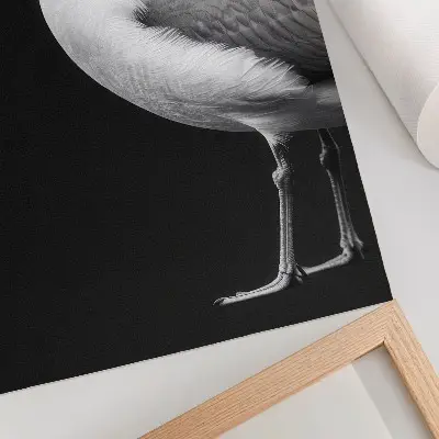Poszter nyomtatás minimalista stílusú kontrasztos fekete-fehér madár mintával