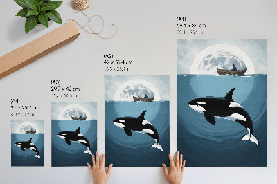 Poszter Kardszárnyú delfin a víz alatt, alak egy hajón, hold a háttérben