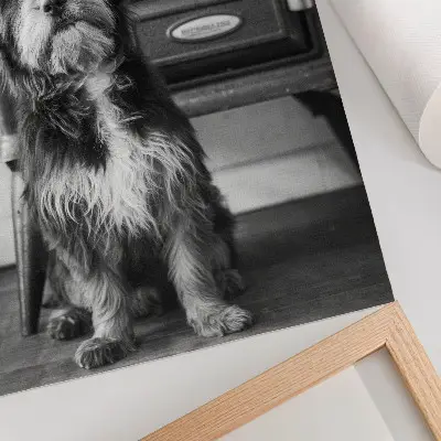 Poszter egy nyugodt kutya egy régi kályha mellett fekete-fehér színben