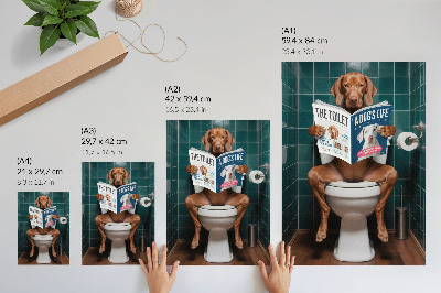 Retro plakát Kutya a WC-n zöld csempézett magazinnal
