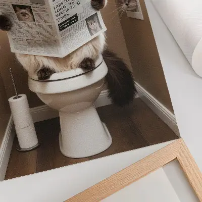 Poszter nyomtatás újságpapír stílusú, bézs hátterű, humoros macskás minta