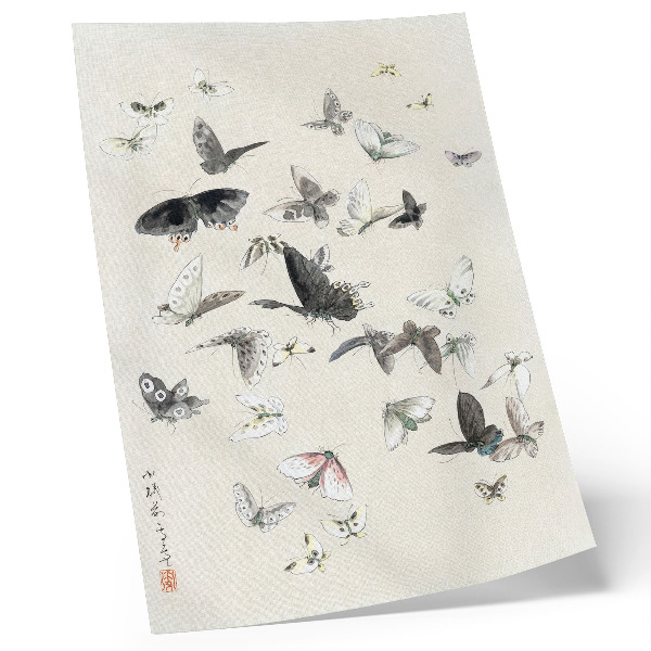 Retro plakát Hokusai pillangói és molyai
