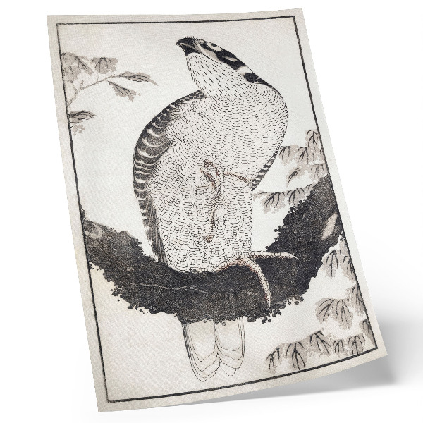 Retro plakát Katsushika Hokusai Madara a Vázlatok Albumából (1814), régi japán fametszet