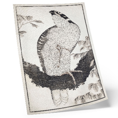 Retro plakát Katsushika Hokusai Madara a Vázlatok Albumából (1814), régi japán fametszet