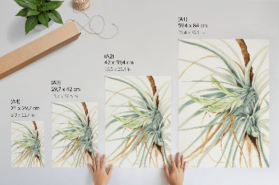 Poszter Vadananász (Tillandsia fasciculata) (1921), Mary Vaux Walcott