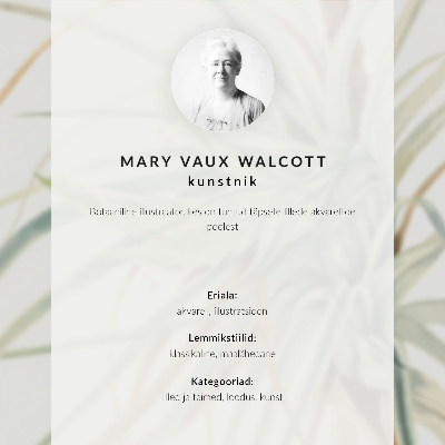 Poszter Vadananász (Tillandsia fasciculata) (1921), Mary Vaux Walcott