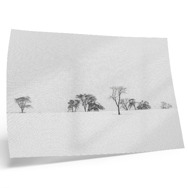 Vintage poszter Minimalista táj téli fák béke