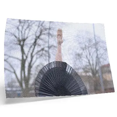 Poszter balett, finomság, harmónia, helyi hangulat témájú