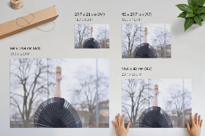 Poszter Balett, finomság, harmónia, helyi hangulat