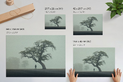 Poszter nyomtatás Magányos fa köd sötét sziluett hangulat