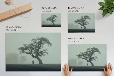 Poszter nyomtatás magányos fa ködös, sötét sziluett hangulatban