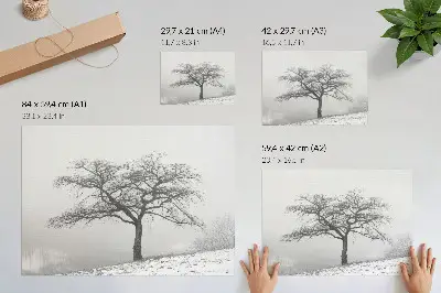 Poszter magányos fa a téli tájban, minimalista és harmonikus stílusban