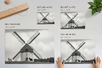 Poszter Egy fekete-fehér szélmalom egy mezőn lovakkal