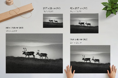 Poszter nyomtatás Rénszarvas egy dombon minimalista kompozíció