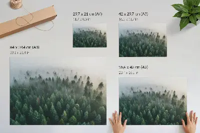 Vintage poszter zöld erdő a ködben, hangulatos és titokzatos kivitelben
