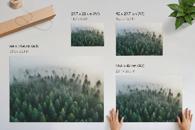 Vintage poszter Zöld erdő a ködben, hangulatos és titokzatos