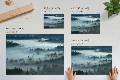 Poszter Zöld fák a ködben, békés hangulat, visszafogott színek