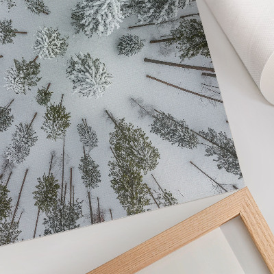 Poszter nyomtatás Téli erdő béke minimalizmus természetesség