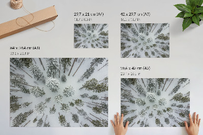 Poszter nyomtatás Téli erdő béke minimalizmus természetesség