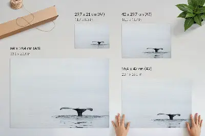 Bálnafarok a víz felett minimalista poszter harmónia stílusú vintage falikép