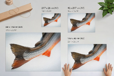 Poszter nyomtatás Természetes méretek és dinamikus színek közeli felvételen