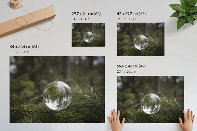 Poszter nyomtatás Egy kristálygömb fenyőág háttér előtt