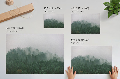 Poszter Egy zölddel és szürkével teli erdő ködös panorámája