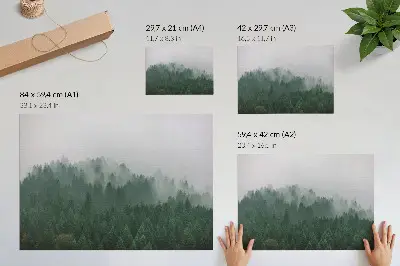 Poszter ködös erdő panorámája zöld és szürke színekben