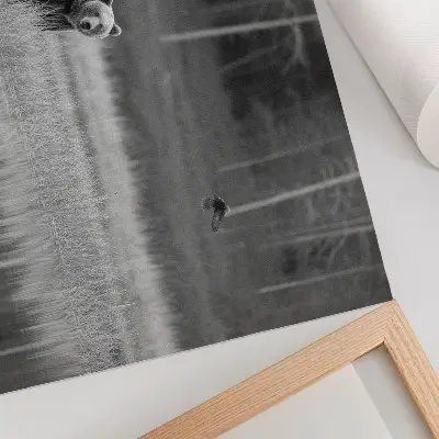 Vintage poszter medve a vízparton fekete-fehér stílusban