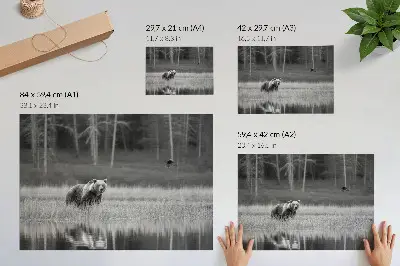 Vintage poszter medve a vízparton fekete-fehér stílusban
