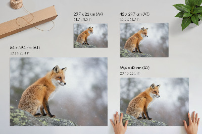 Poszter Róka a téli tájban, a természet szelíd békéje