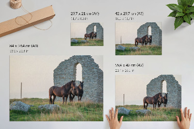 Poszter A romok és a lovak kontrasztja a zöldben