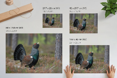 Vintage poszter Madár színei erdő természet békés hangulat