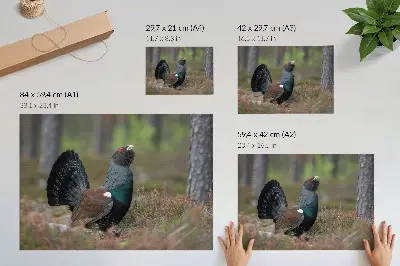 Vintage poszter madaras, erdős természetmintás, békés hangulatú kivitelben