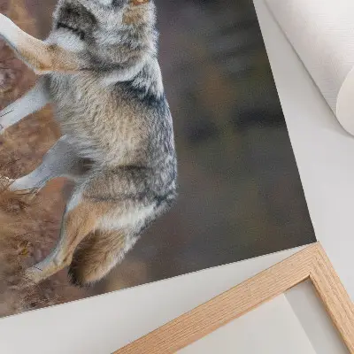 Farkas mozgásban poszter vad táj természet mintával