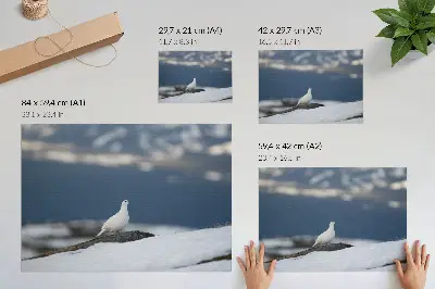 Poszter madár a havas téli tájban