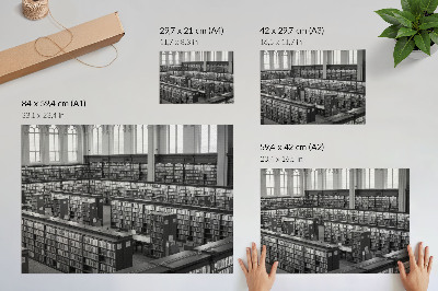 Poszter Klasszikus könyvtár fa polcokkal