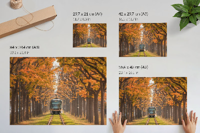 Poszter nyomtatás Őszi alagút, közepén egy villamossal