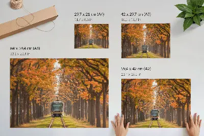 Poszter őszi alagút villamossal