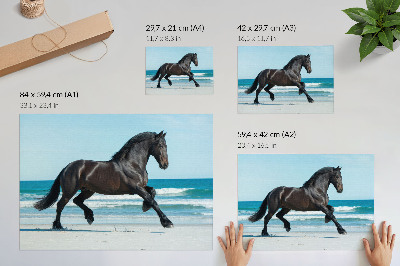 Vintage poszter Ló galopp part kék ég