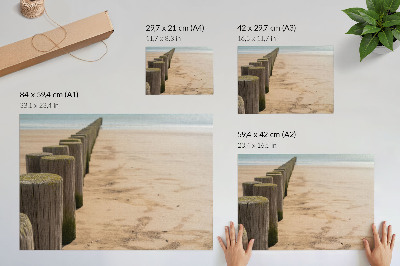 Poszter Fa karók strand tenger béke természet