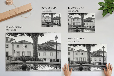 Poszter nyomtatás Fekete-fehér szökőkút klasszikus épületek vár