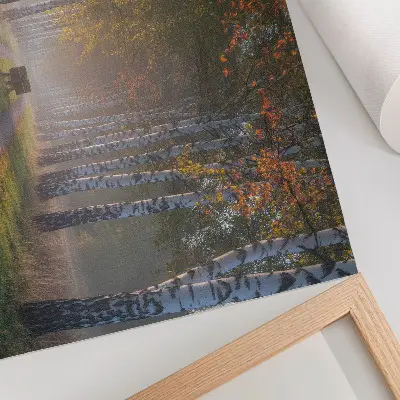 Vintage poszter szimmetrikus nyírfák ködös fényben egy őszi sikátorban