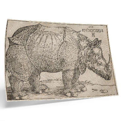Vintage poszter Orrszarvú (1515), Albrecht Dürer