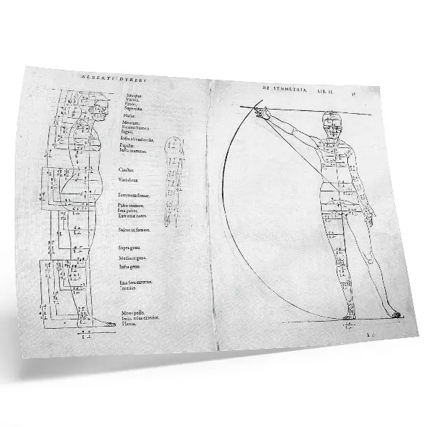 Poszter nyomtatás Albrecht Dürer férfiportréja latin felirattal