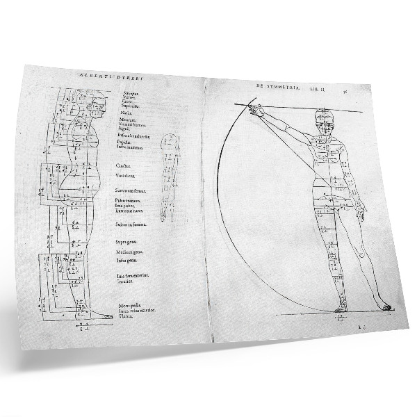 Poszter nyomtatás Férfi rajza latin nyelven Albrecht Dürer változatában