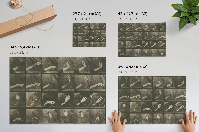 Poszter Állati mozgás, 535. tábla (1887), Eadweard Muybridge